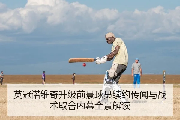英冠诺维奇升级前景球员续约传闻与战术取舍内幕全景解读 | Kaiyuan